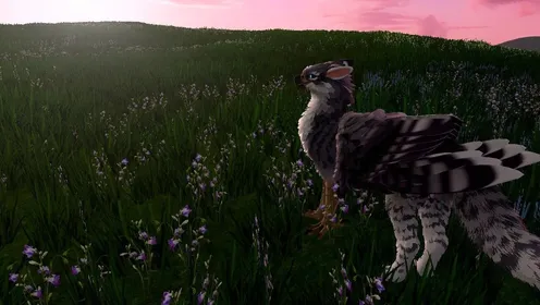 Quest Pro Eyes: Soar as Bird for VR Fuck Fantasies