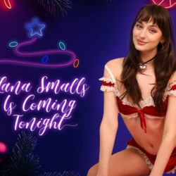 Holiday Theme